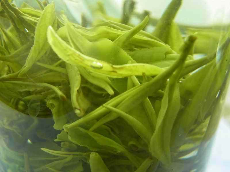 黃柑茶
