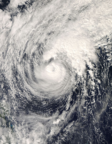 颱風白海豚衛星雲圖