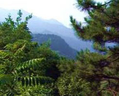 大曆山十八索自然保護區