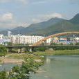 東河鎮(四川旺蒼縣轄鎮)