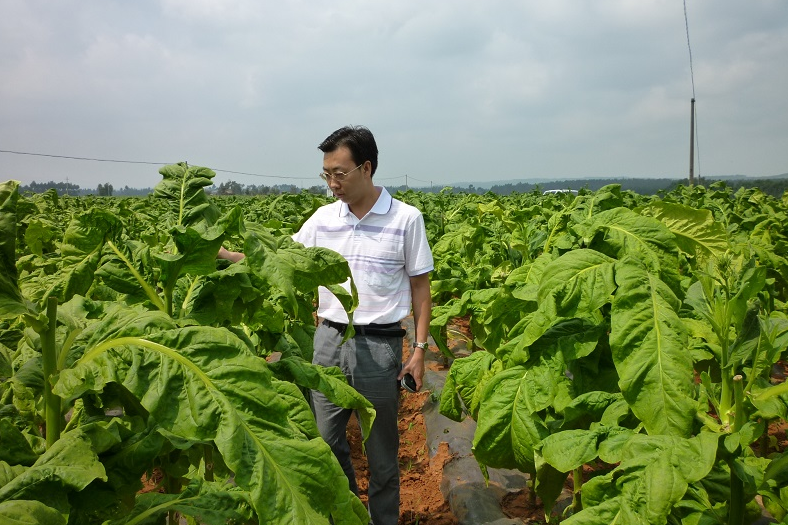 王小東(河南科技大學農學院副教授,碩士生導師) 王小東(河南科技大學農學院副教授,碩士生導師)