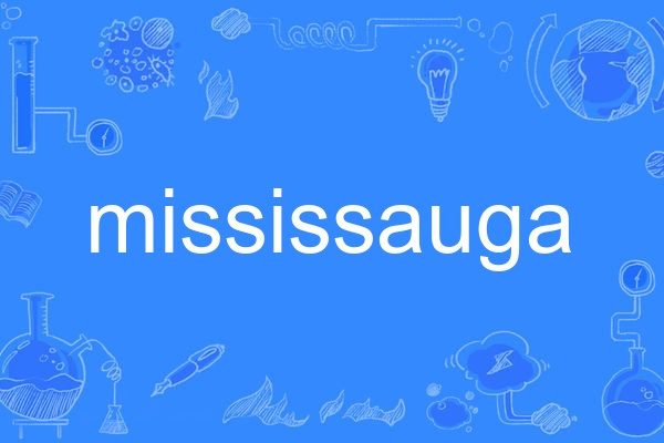 mississauga mississauga