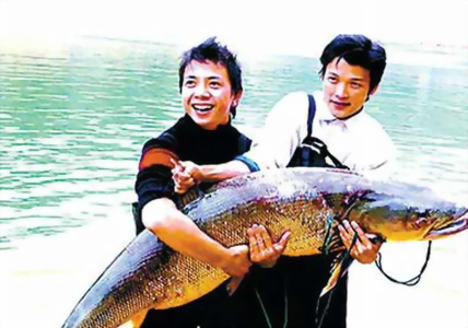 漁民在萬綠湖捕獲到一條特大鱤魚