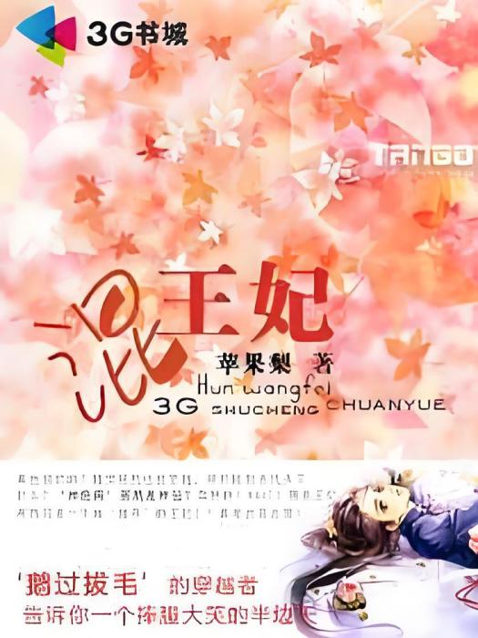 混王妃 混王妃