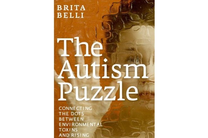 The Autism Puzzle The Autism Puzzle