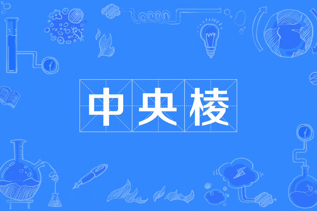 中央棱 中央棱