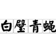 白璧青蠅