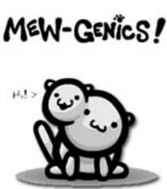 貓的基因 貓的基因