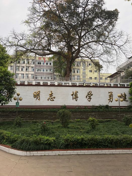 宜賓市敘州區橫江中學(橫江中學) 宜賓市敘州區橫江中學(橫江中學)