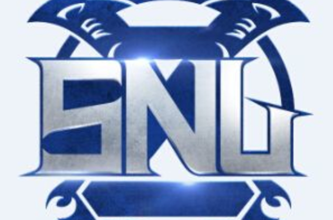 SNL(SNL(super netbar league),SNL戰吧聯賽)