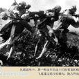 隴東戰役 隴東戰役