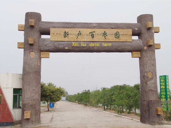 新戶百棗園 新戶百棗園