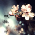雙生,半謝 雙生,半謝
