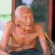 戈多(印尼長壽老人) 戈多(印尼長壽老人)