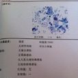 tct檢查
