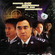 國家機密(2004年陳應歧導演電視劇)