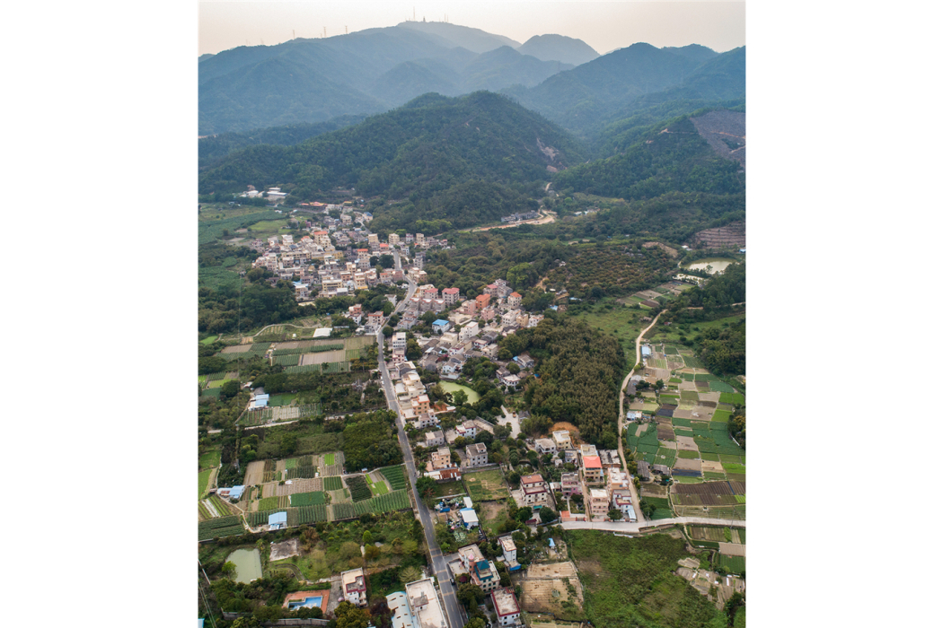 楊賀村 楊賀村