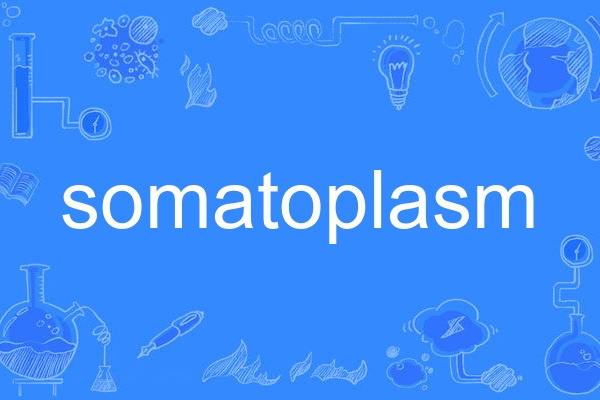 somatoplasm somatoplasm