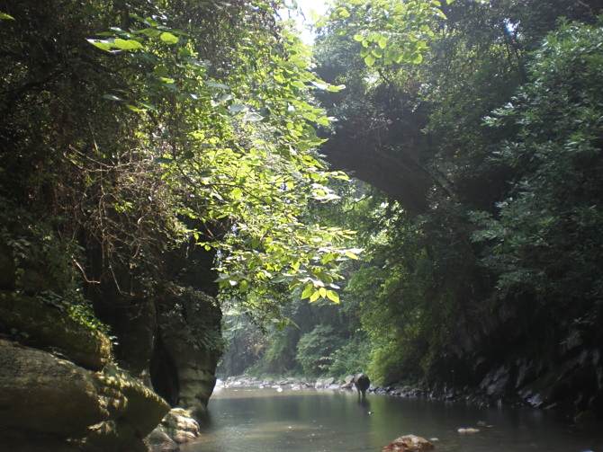 思陽橋村 思陽橋村