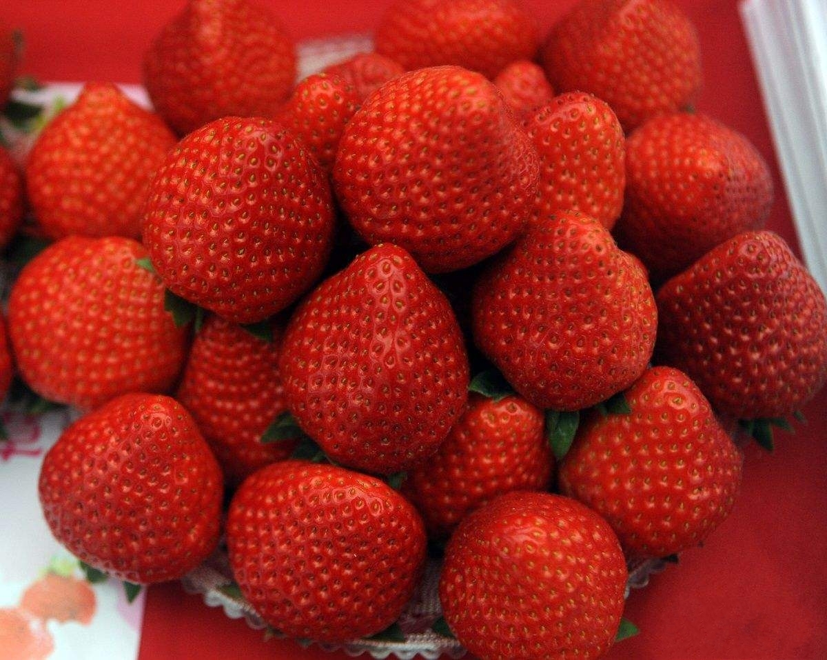 雙流冬草莓