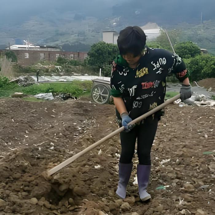 七里木木