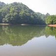 靄里村 靄里村