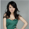 何琳(中國大陸女演員) 何琳(中國大陸女演員)
