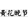 黃花晚節