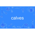 calves calves