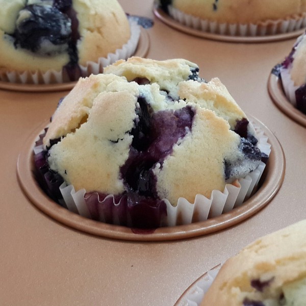 藍莓瑪芬 Blueberry Muffin