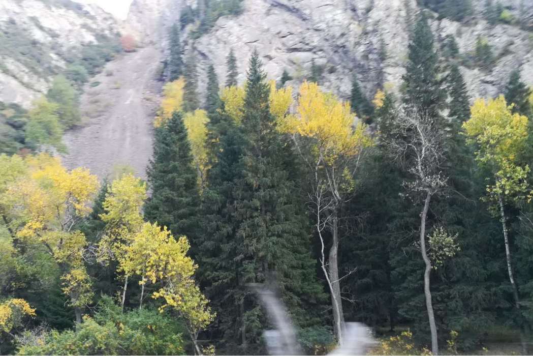 一撮毛山 一撮毛山