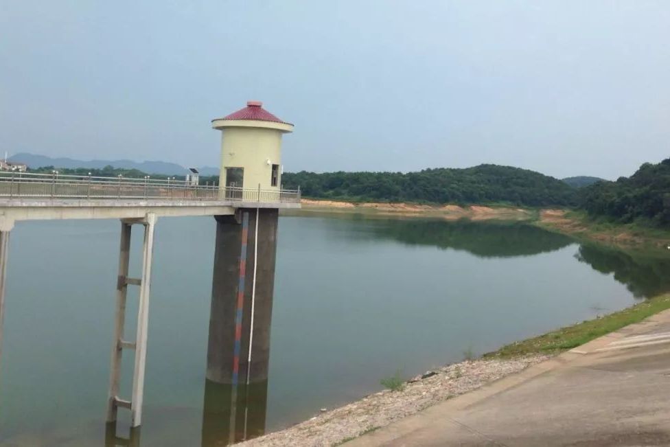 八畝水庫 八畝水庫