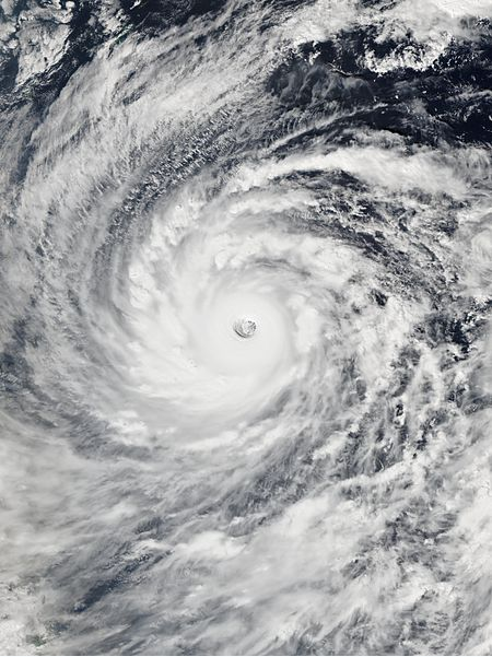 超強颱風黃蜂 衛星雲圖