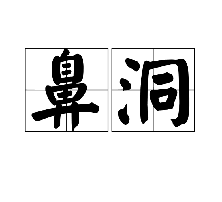 鼻洞 鼻洞