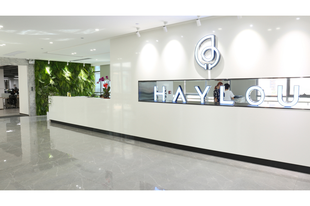 Haylou Haylou