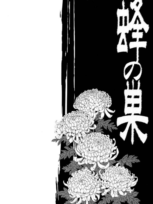 蜂之巢
