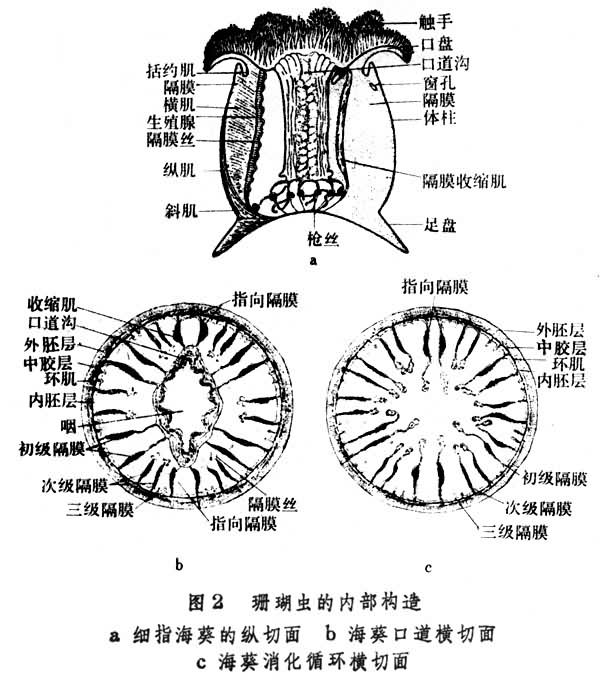 圖2&amp;amp