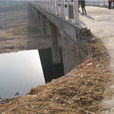 黃莊鄉(河南省洛陽市嵩縣地名) 黃莊鄉(河南省洛陽市嵩縣地名)