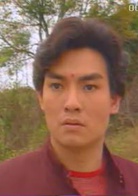 中華英雄(1990年何家勁主演電視劇)