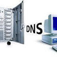DSN(分散式業務網路)