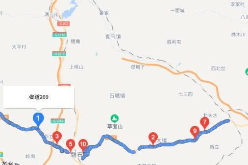 209省道(吉林省境內的道路) 209省道(吉林省境內的道路)