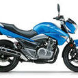 驪馳GW250
