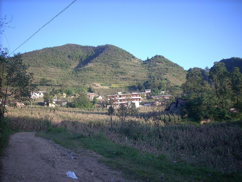 岩賢村 岩賢村