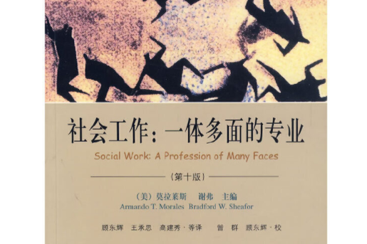 社會工作(2008年上海社會科學院出版社出版的圖書) 社會工作(2008年上海社會科學院出版社出版的圖書)