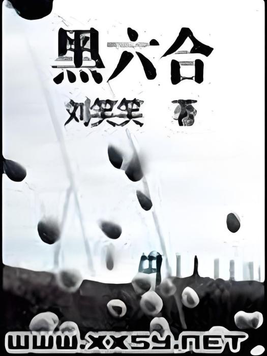 黑六合 黑六合