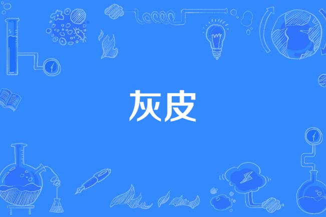 灰皮 灰皮