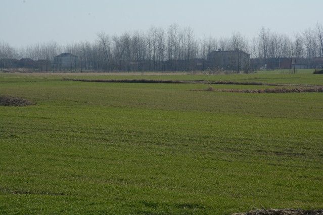 楊莊遺址 楊莊遺址