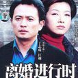 離婚進行時(2006年江珊、丁志誠主演電視劇)