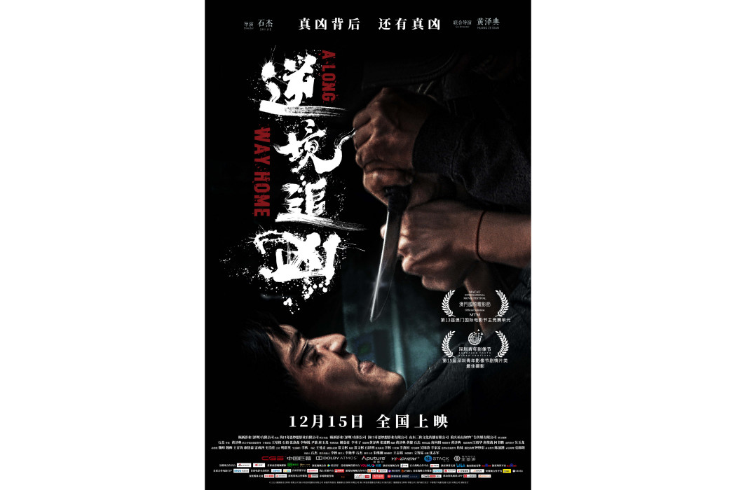 逆境追兇 逆境追兇