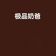 極品奶爸